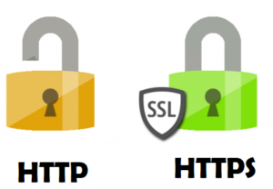 Website Security SSL Usage