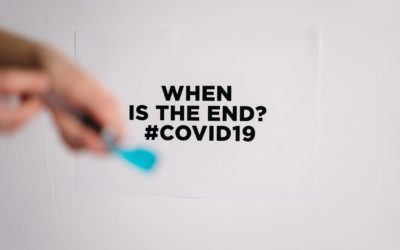 How is Covid-19 Affecting Search